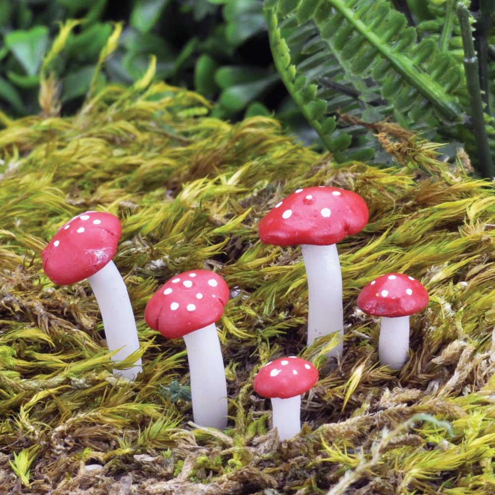 Mini Fly Agaric Mushrooms (Fiddlehead) 5pk